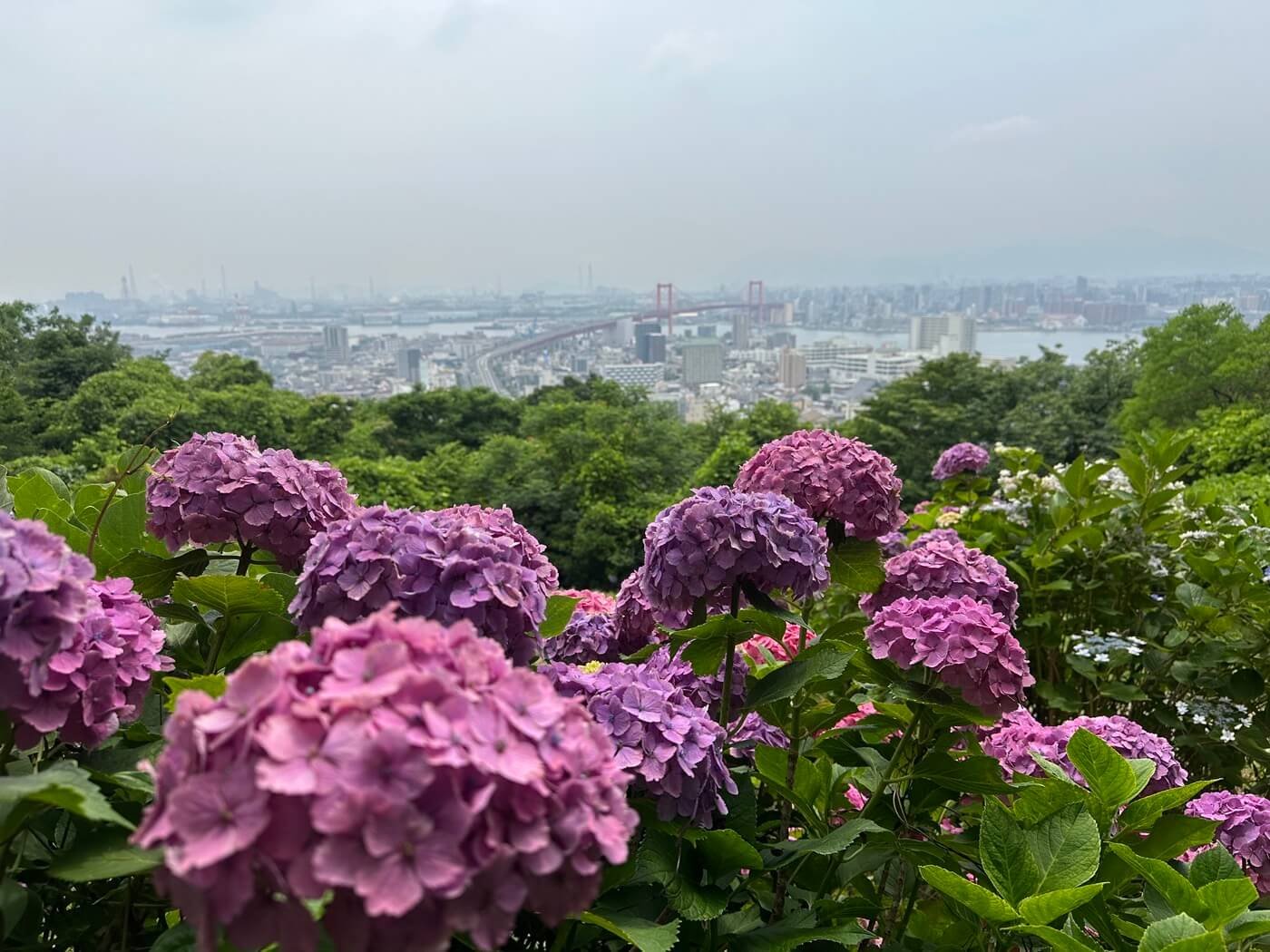 🏞️ 타카토야마 공원(타카토야마 코엔) 이미지 4